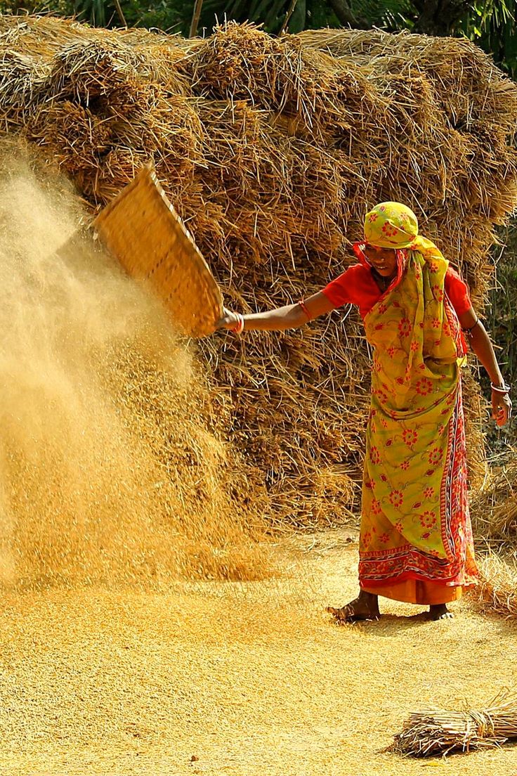 महाराष्ट्र में महिला किसानों के लिए ऐतिहासिक कानून, विधानसभा ने सर्वसम्मति से पारित किया विधेयक