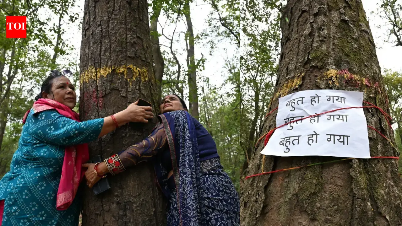 People Intensify Protest Against Tree Felling in Uttarakhand, Government Imposes Temporary Ban